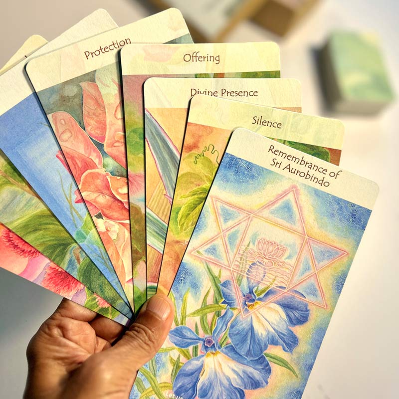 BloomO! The Flower Card Game