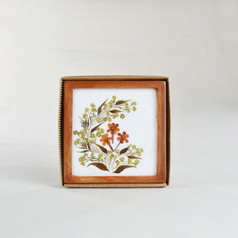 Classic Orange Tea Coasters- DH03F01AA4