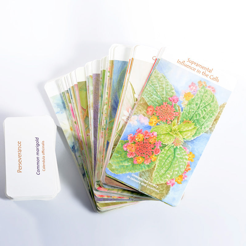 BloomO! The Flower Card Game