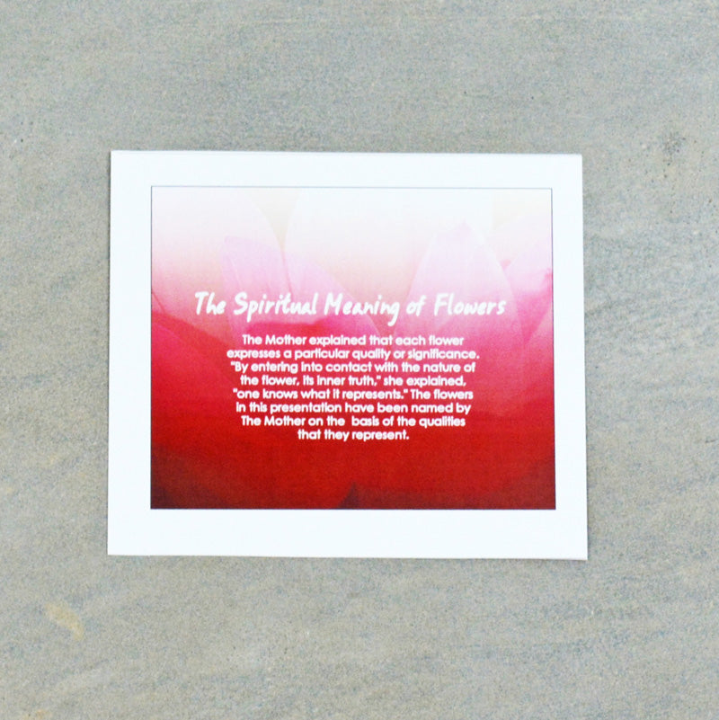 The Spiritual meaning of Flowers 10 postcards gift set