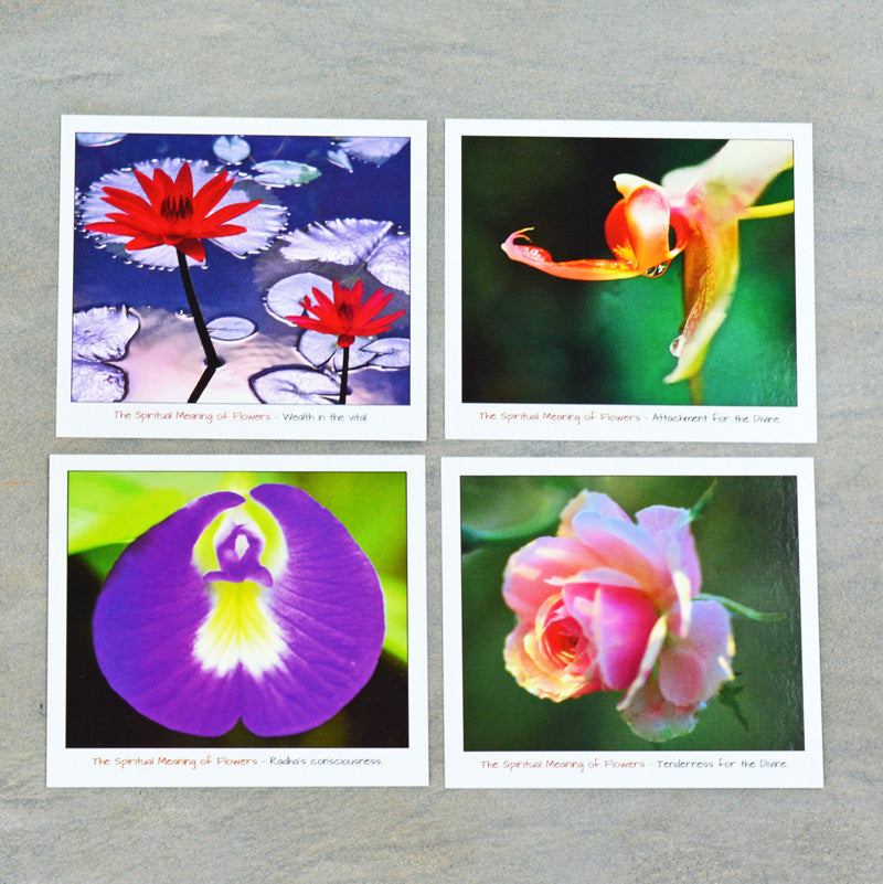 The Spiritual meaning of Flowers 10 postcards gift set