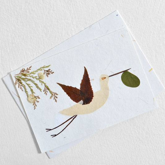 Baby's Birth Card - Stork