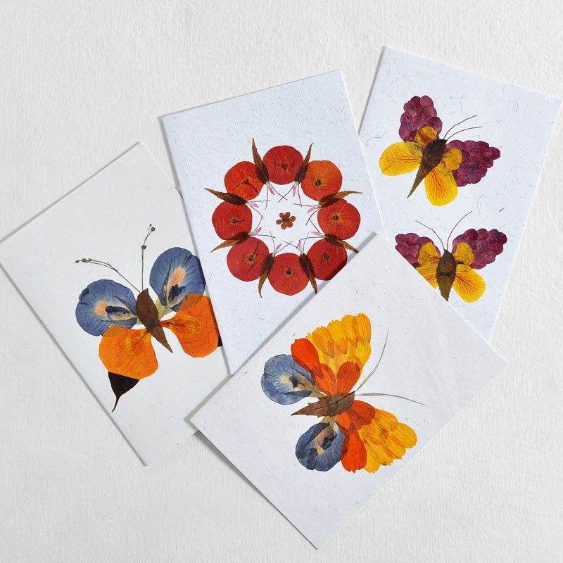 Butterfly Cards Collection