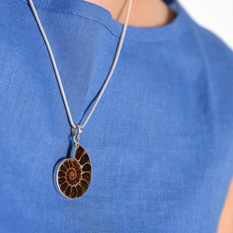 Ammonite with Silver Pendant