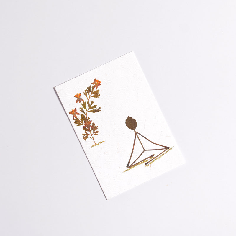 Yogasana Cards (Set of 10)