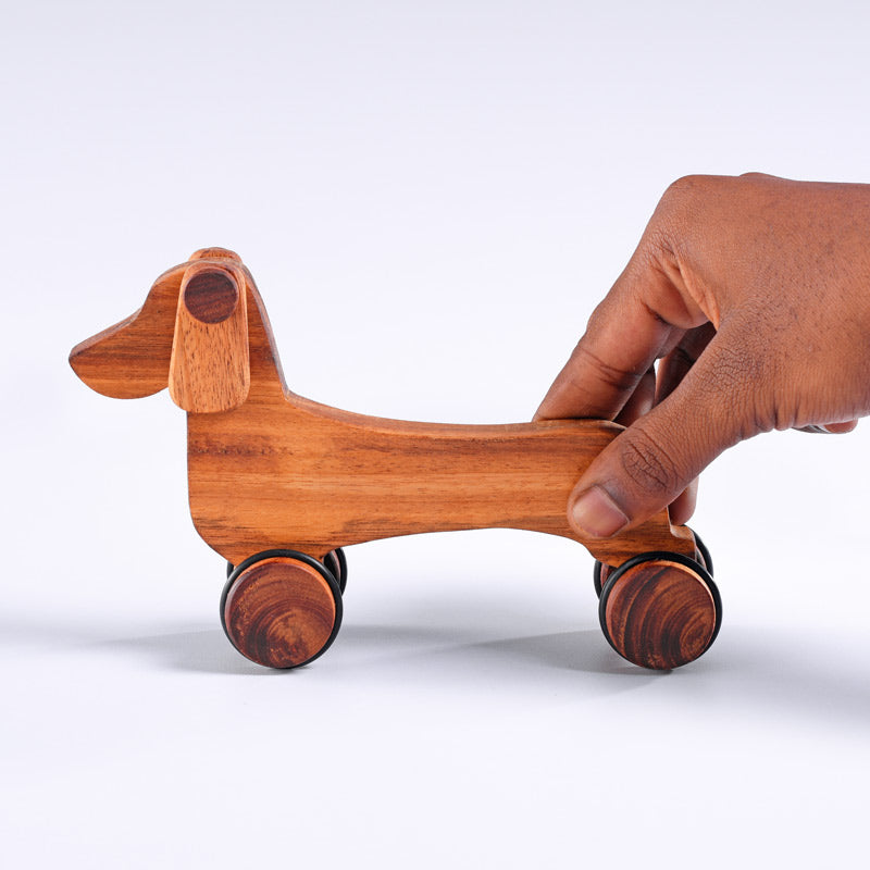 Dog Dachshund