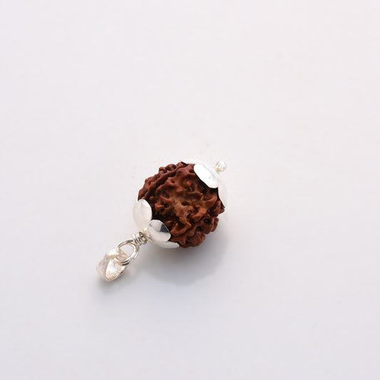 Rudraksha Five Face with Silver Pendant