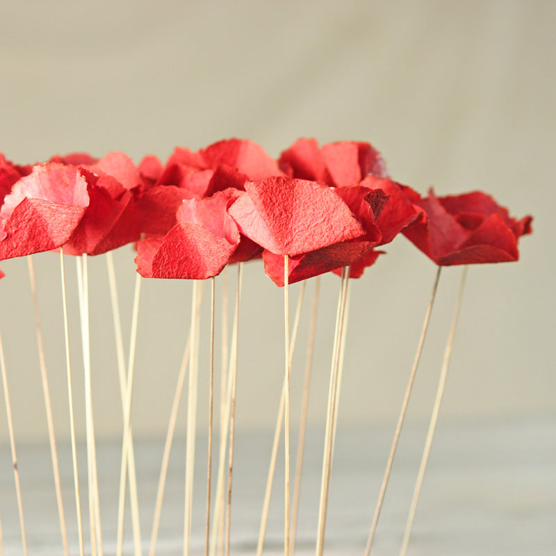 Butterfly Flowers Red