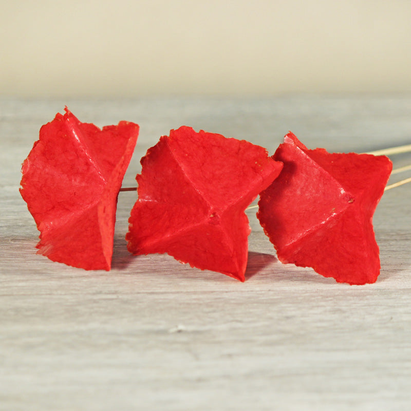 Butterfly Flowers Red