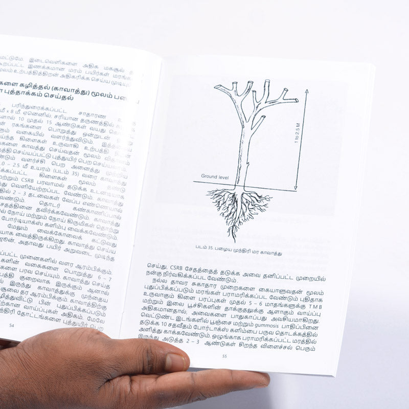 Hand Book on Organic Cashew Cultivation